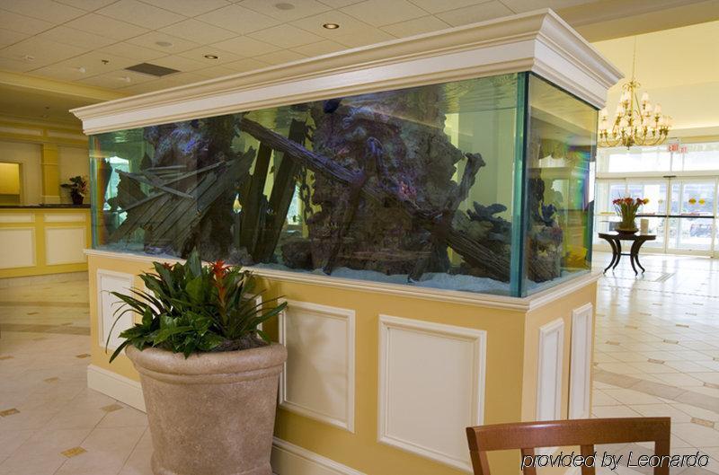 Hilton Garden Inn Outer Banks/Kitty Hawk Interior foto